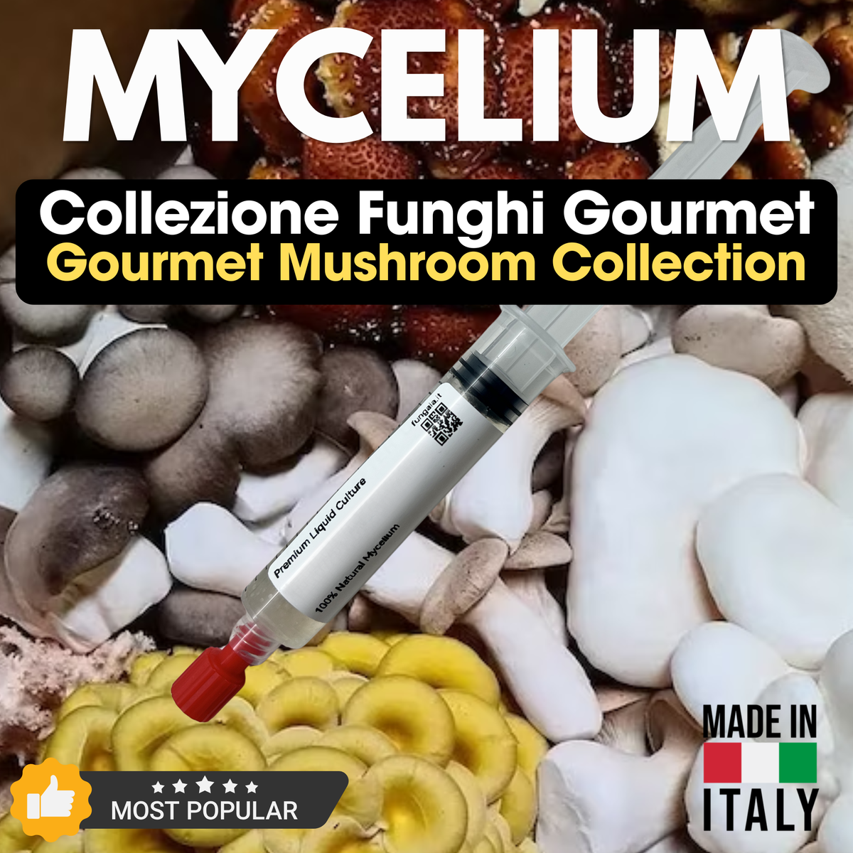 Funghi Gourmet
