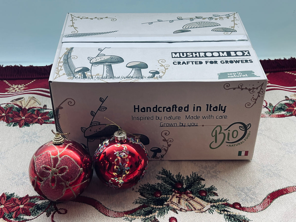 Beginner mushroom growing gift box with all-in-one bag and live culture