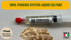 Cultura Liquida Fungo Phoenix Oyster - Pleurotus pulmonarius - Micelio Professionale Gourmet - Made in Italy