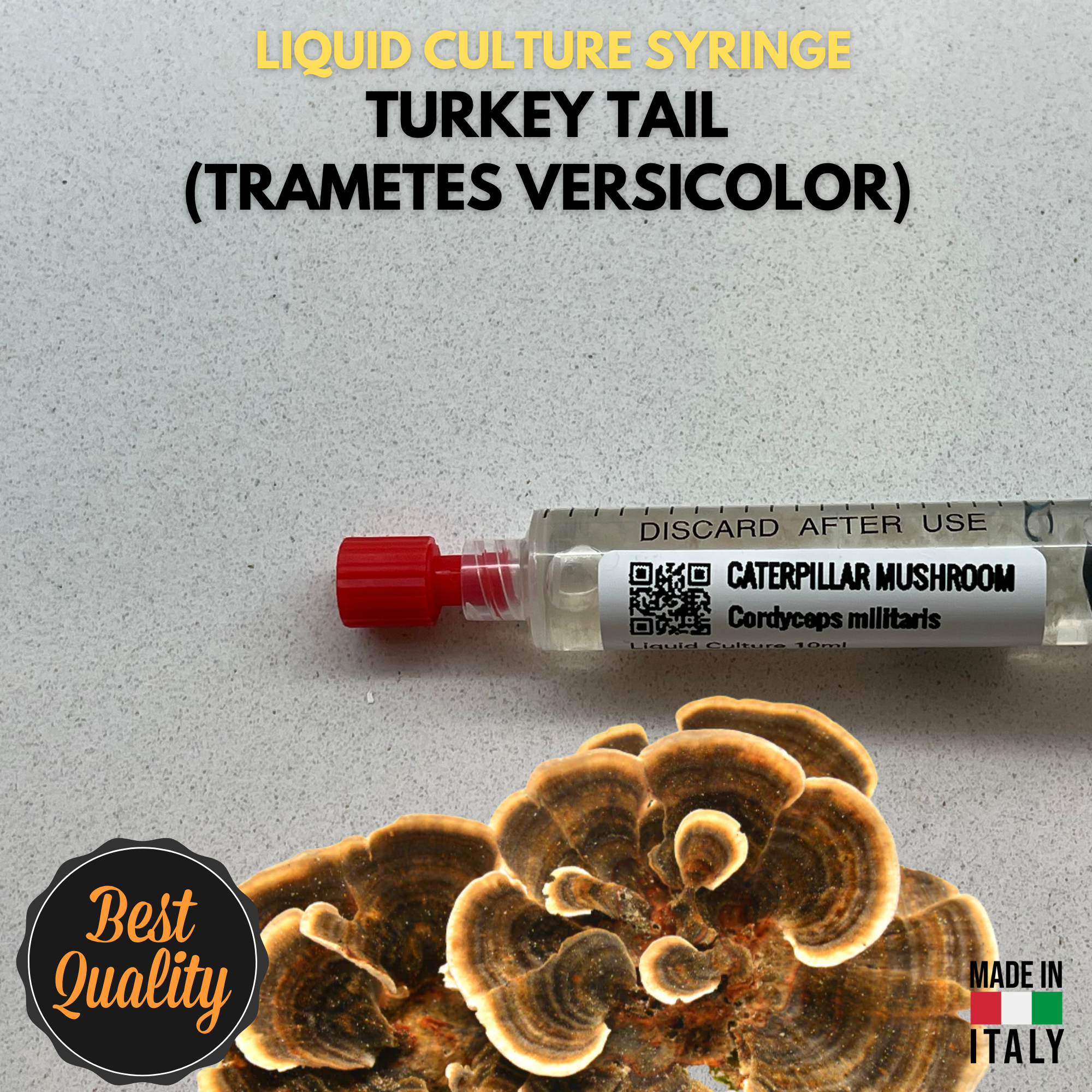 Turkey Tail Liquid Culture Unit  - Trametes versicolor - Premium Medicinal Mushroom Mycelium - Made in Italy