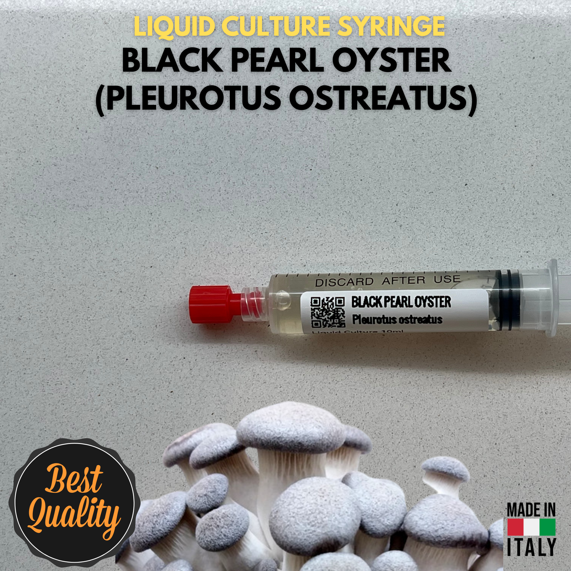 Black Pearl Oyster Liquid Culture Unit  - Pleurotus ostreatus x eryngii - Premium Gourmet Mushroom Mycelium - Made in Italy