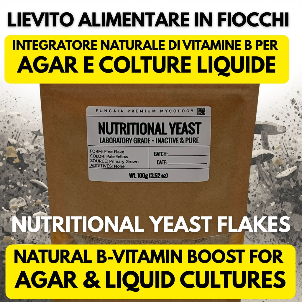 Lievito Nutrizionale 100g Booster Micelio Agar Coltura Liquida Micologia Professionale