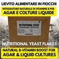 Lievito Nutrizionale 100g Booster Micelio Agar Coltura Liquida Micologia Professionale