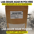 Agar Agar Polvere 100g Micologia Piastre Petri Grado Laboratorio
