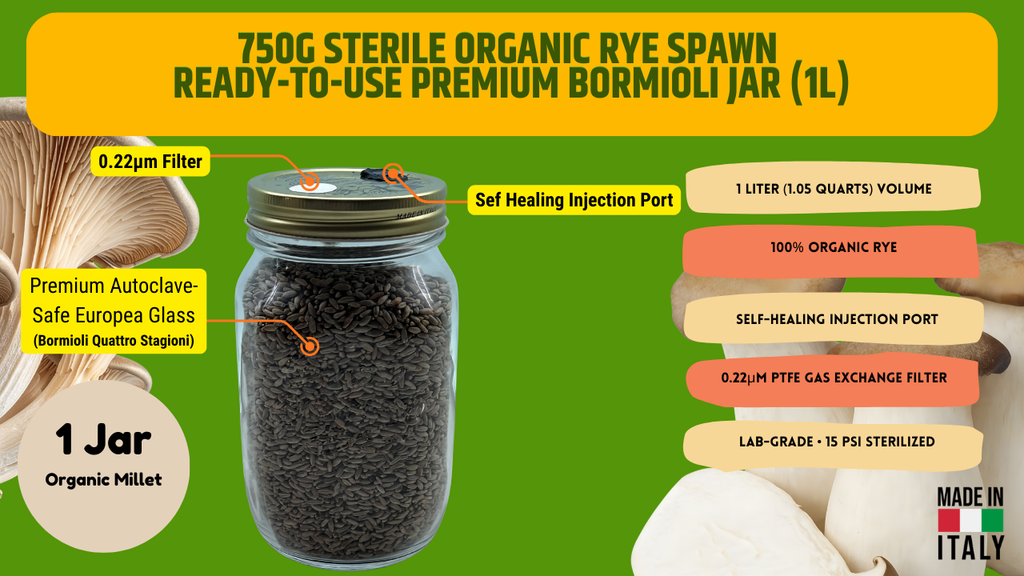 Rye Spawn Jar 1L Sterilized Organic Grain Mushroom Mycology Supplies Injection Port Filter Lid