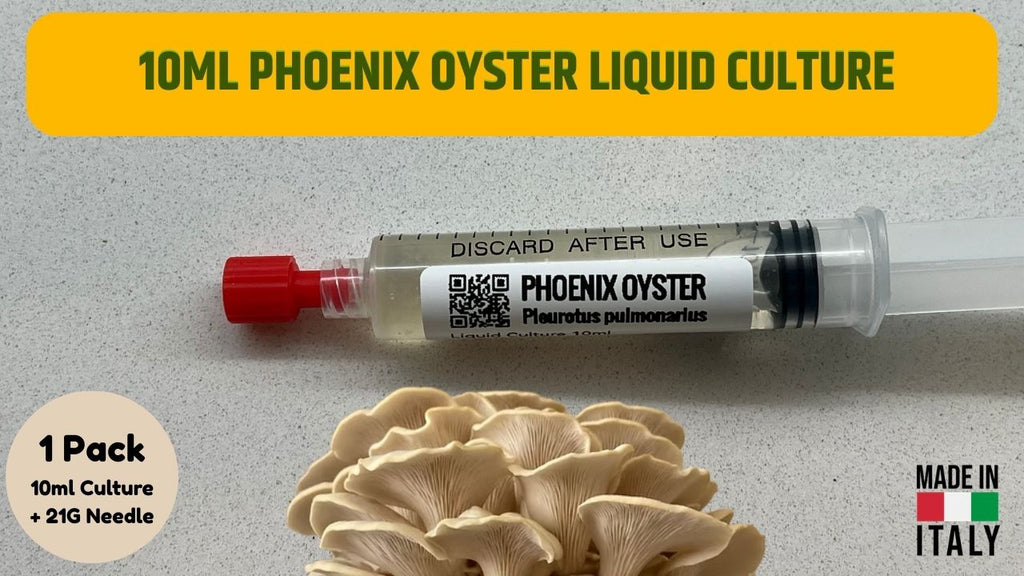 Pink Oyster Liquid Culture - Pleurotus djamor - Premium Gourmet Mushroom Mycelium - Made in Italy