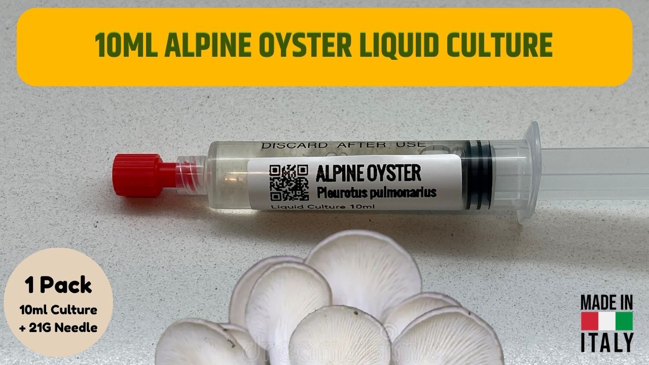 Coltura Liquida Oyster Alpine 10ml | Fungo Oyster Gourmet Resistente al Freddo | Pleurotus Pulmonarius