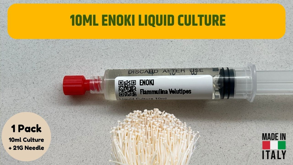 Antler Reishi Liquid Culture Unit - Ganoderma lucidum - Premium Medicinal Mushroom Mycelium - Made in Italy