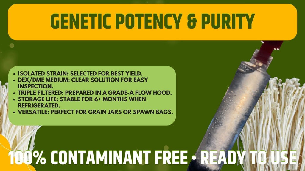 Antler Reishi Liquid Culture Unit - Ganoderma lucidum - Premium Medicinal Mushroom Mycelium - Made in Italy