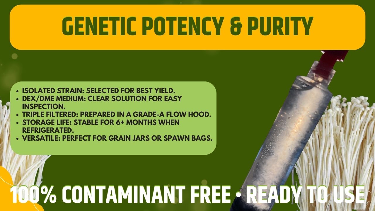 Antler Reishi Liquid Culture Unit - Ganoderma lucidum - Premium Medicinal Mushroom Mycelium - Made in Italy