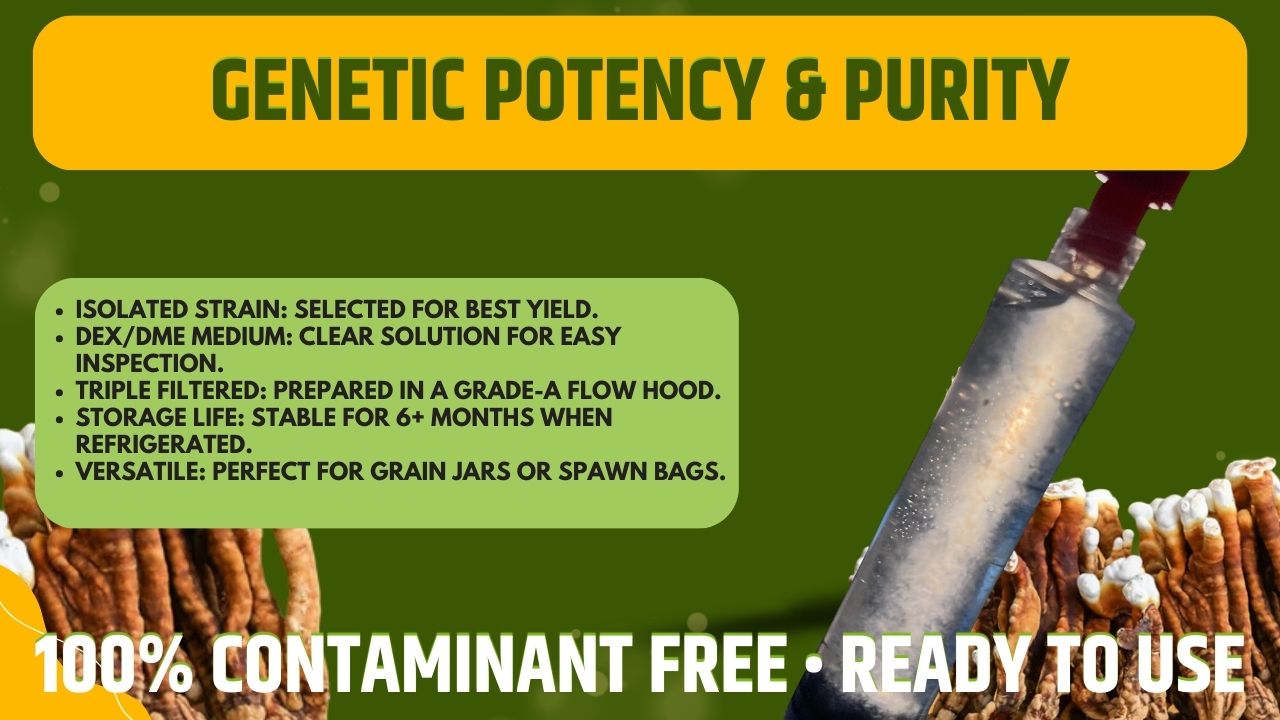 Cultura Liquida Fungo Enoki - Flammulina velutipes - Micelio Professionale Gourmet - Made in Italy