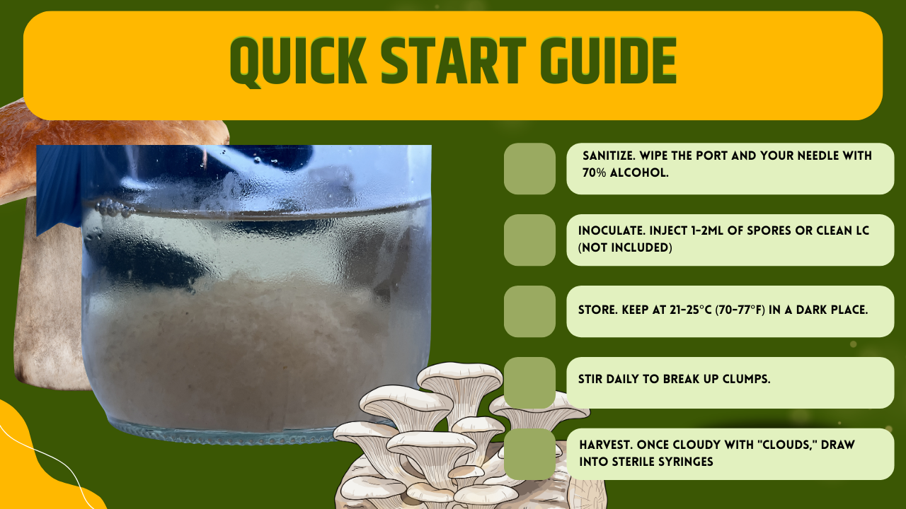 Soluzione Nutriente 500ml DEX & DME - Vetro Premium Bormioli per Micologia