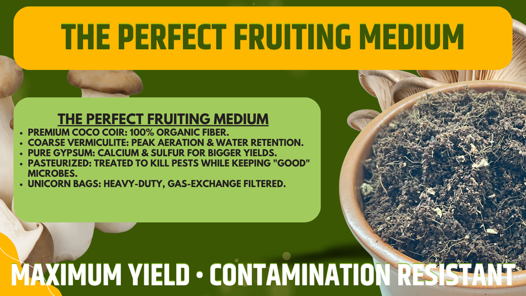 Mix CVG Substrato Funghi 2.2kg Pastorizzato Pronto all Uso Fibra di Cocco Vermiculite Gesso Bulk