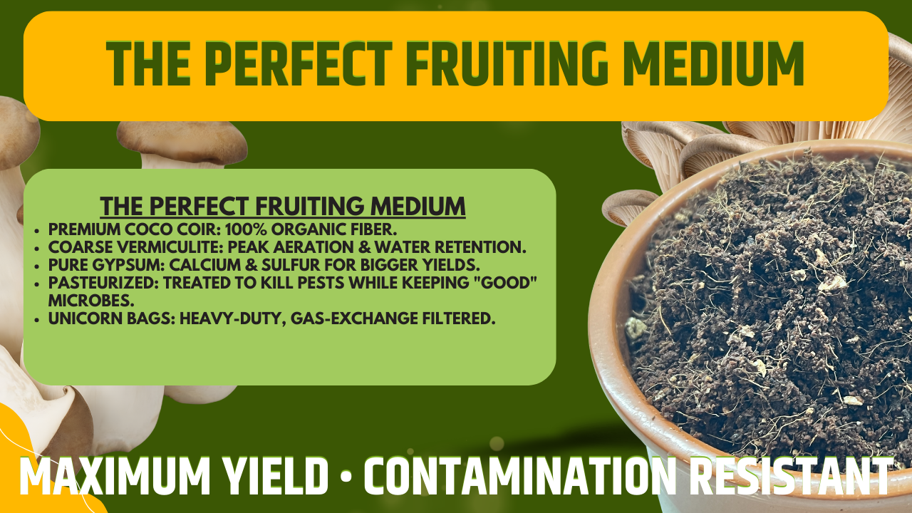 Mix CVG Substrato Funghi 2.2kg Pastorizzato Pronto all Uso Fibra di Cocco Vermiculite Gesso Bulk