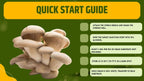 Cultura Liquida Fungo Phoenix Oyster - Pleurotus pulmonarius - Micelio Professionale Gourmet - Made in Italy