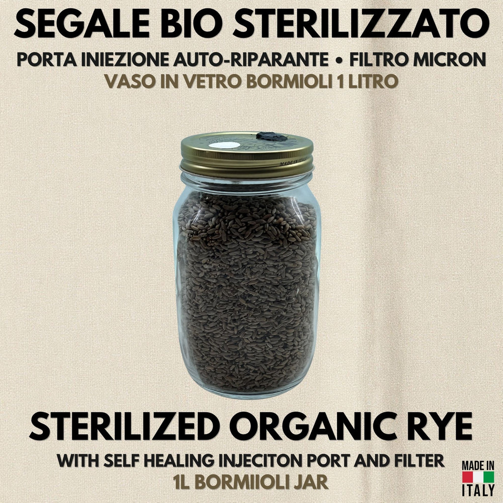 Spawn Segale Bio Vaso Bormioli 1L Porta Iniezione Filtro PTFE Autoclavato