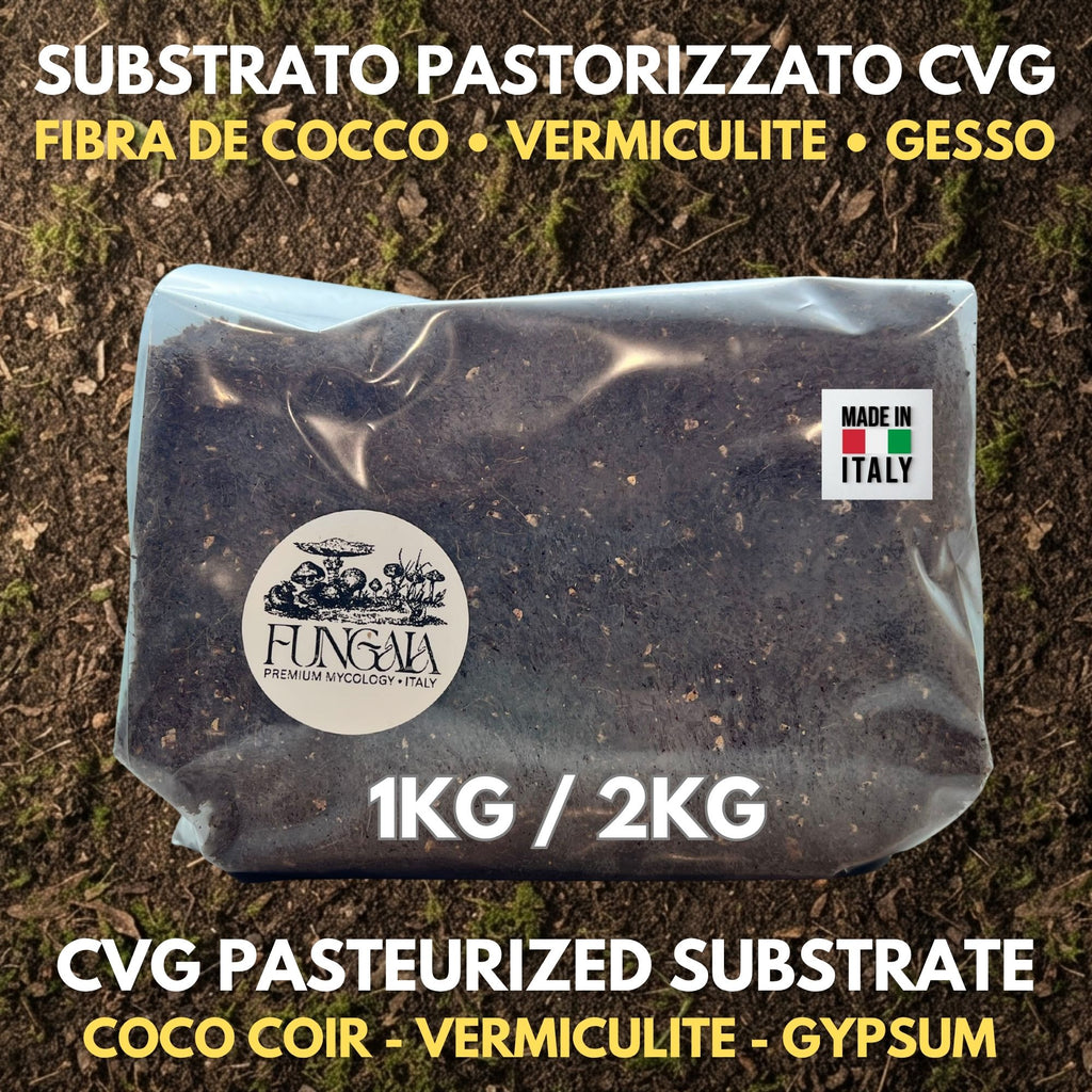 Substrato CVG Pastorizzato 1kg 2kg Funghi Coir Vermiculite Gesso