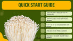 Cultura Liquida Fungo Enoki 10ml  - Flammulina velutipes - Micelio Professionale Gourmet - Made in Italy