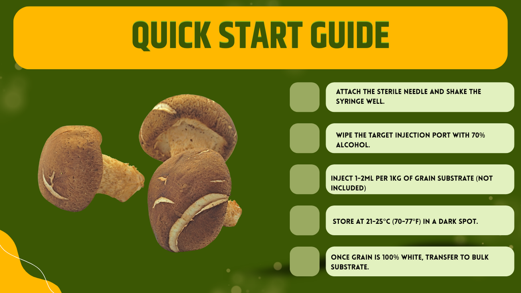 3 x 10ml Shiitake Liquid Culture Syringes Mushroom Genetics Triple Pack