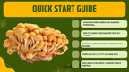 Fungo Nameko Coltura Liquida Pholiota Microspora Micelio Vivo 10ml Pholiota Nameko Kit Coltivazione Funghi Professionale Made in Italy