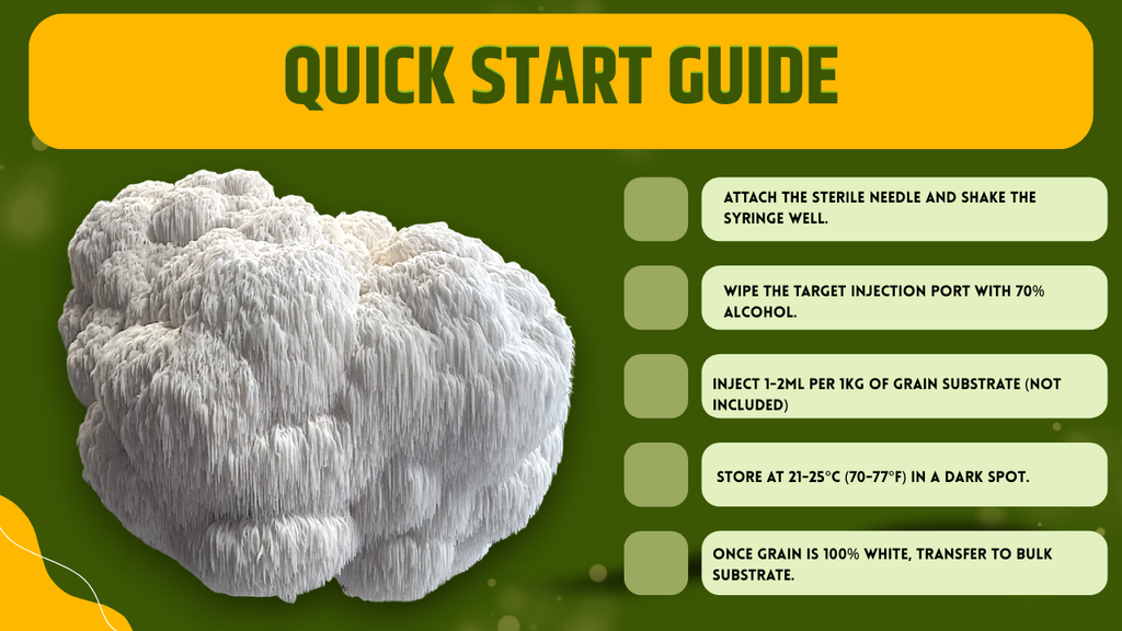 Coltura Liquida Lion's Mane Criniera di Leone 10ml Micelio Vivo Hericium Erinaceus Micologia