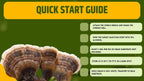 Cultura Liquida Coda di Tacchino  - Trametes versicolor - Micelio Fungo Medicinale Premium - Made in Italy
