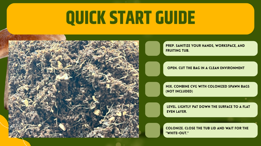 Mix CVG Substrato Funghi 2.2kg Pastorizzato Pronto all Uso Fibra di Cocco Vermiculite Gesso Bulk