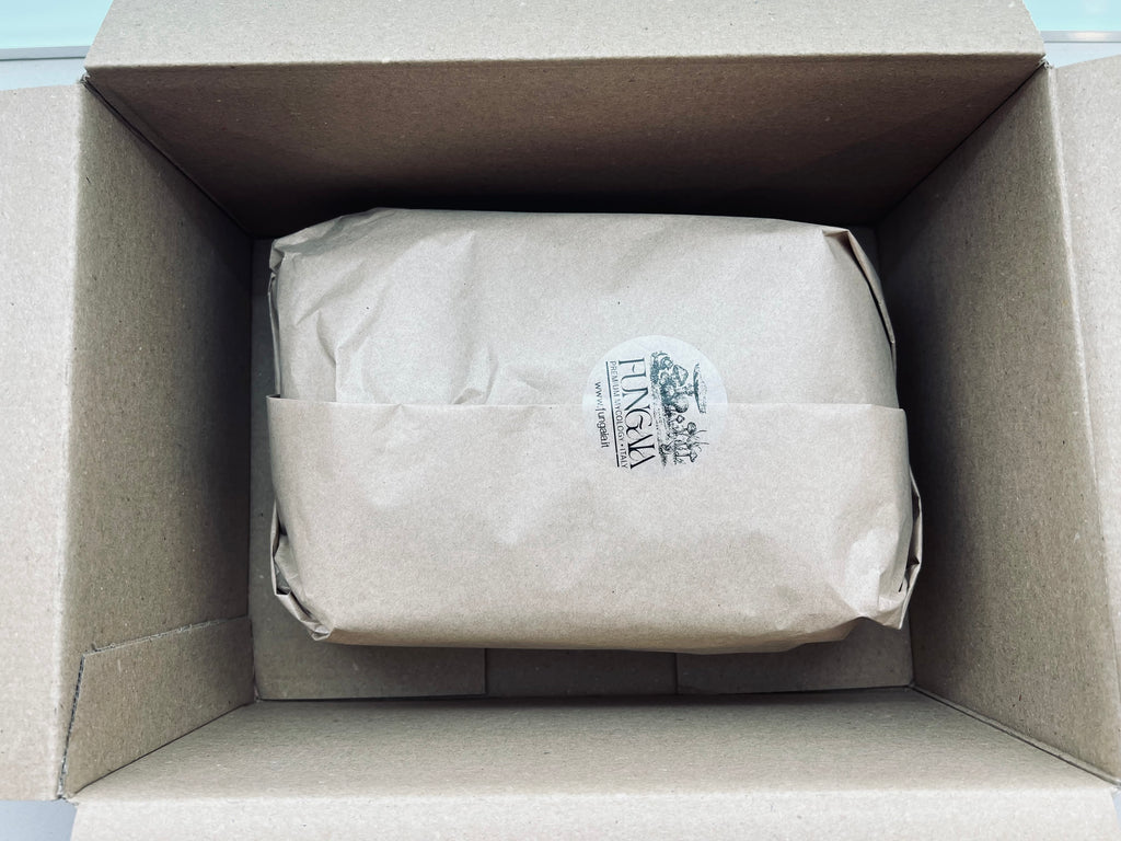Beginner mushroom growing gift box with all-in-one bag and live culture