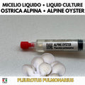 Coltura Liquida Oyster Alpine 10ml | Fungo Oyster Gourmet Resistente al Freddo | Pleurotus Pulmonarius