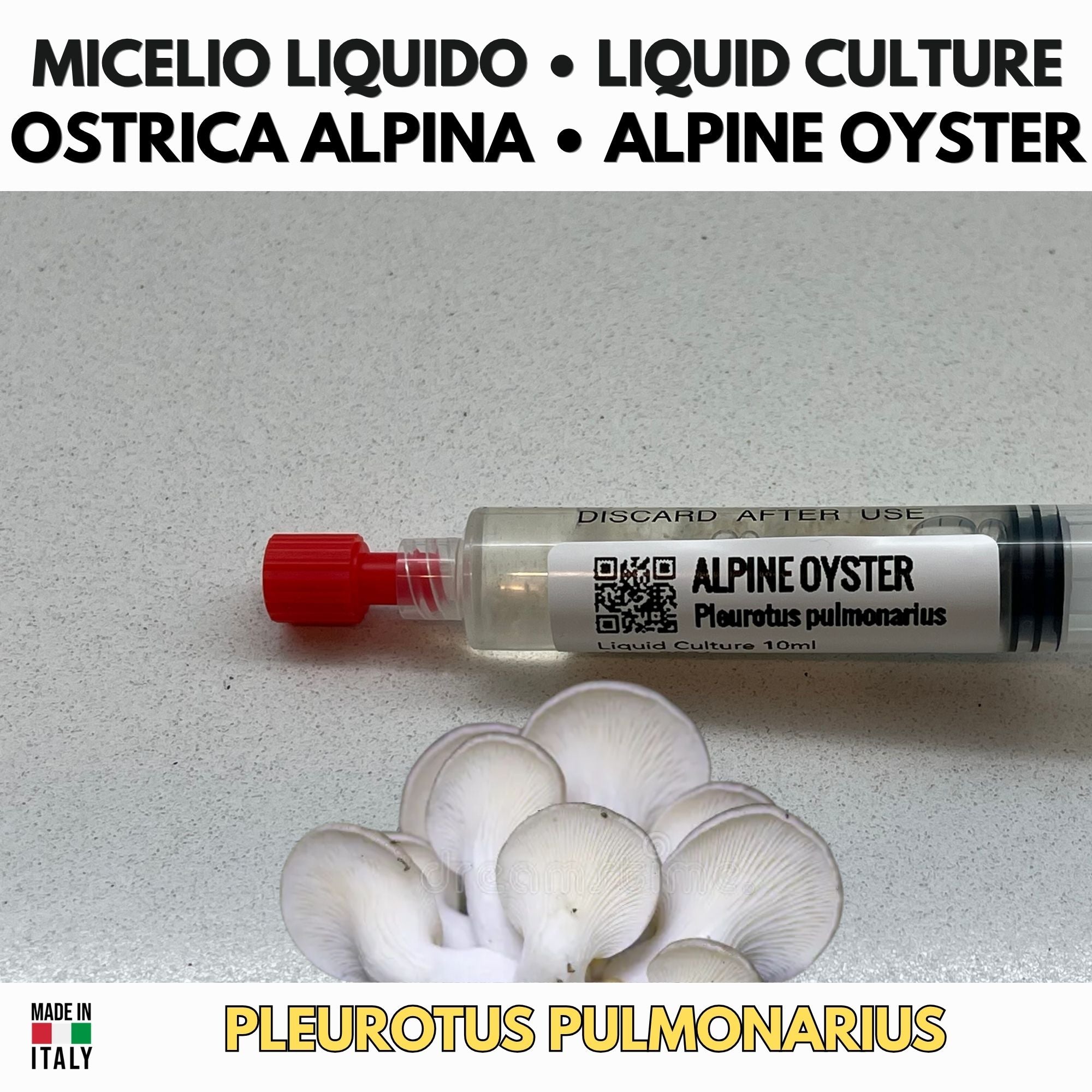 Coltura Liquida Oyster Alpine 10ml | Fungo Oyster Gourmet Resistente al Freddo | Pleurotus Pulmonarius
