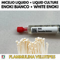 Cultura Liquida Fungo Enoki 10ml  - Flammulina velutipes - Micelio Professionale Gourmet - Made in Italy