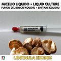 Shiitake Koushu Liquid Culture 10ml Gourmet Mushroom Mycelium Lentinula Edodes Mycology Supplies