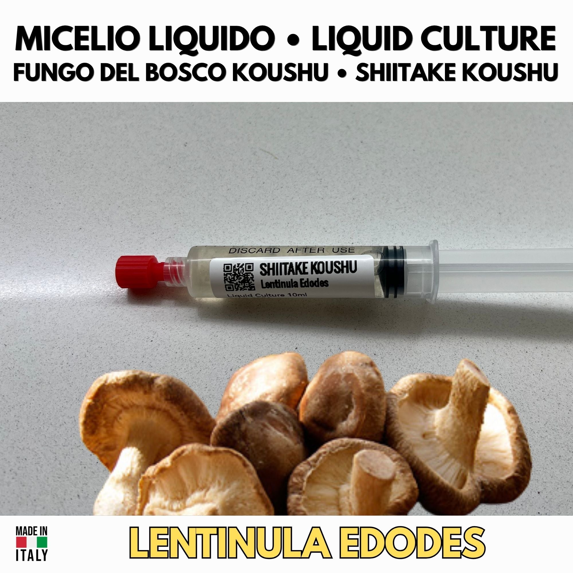 Coltura Liquida Shiitake Koushu 10ml Micelio Vivo Funghi Gourmet Materiale Micologia Lentinula Edodes
