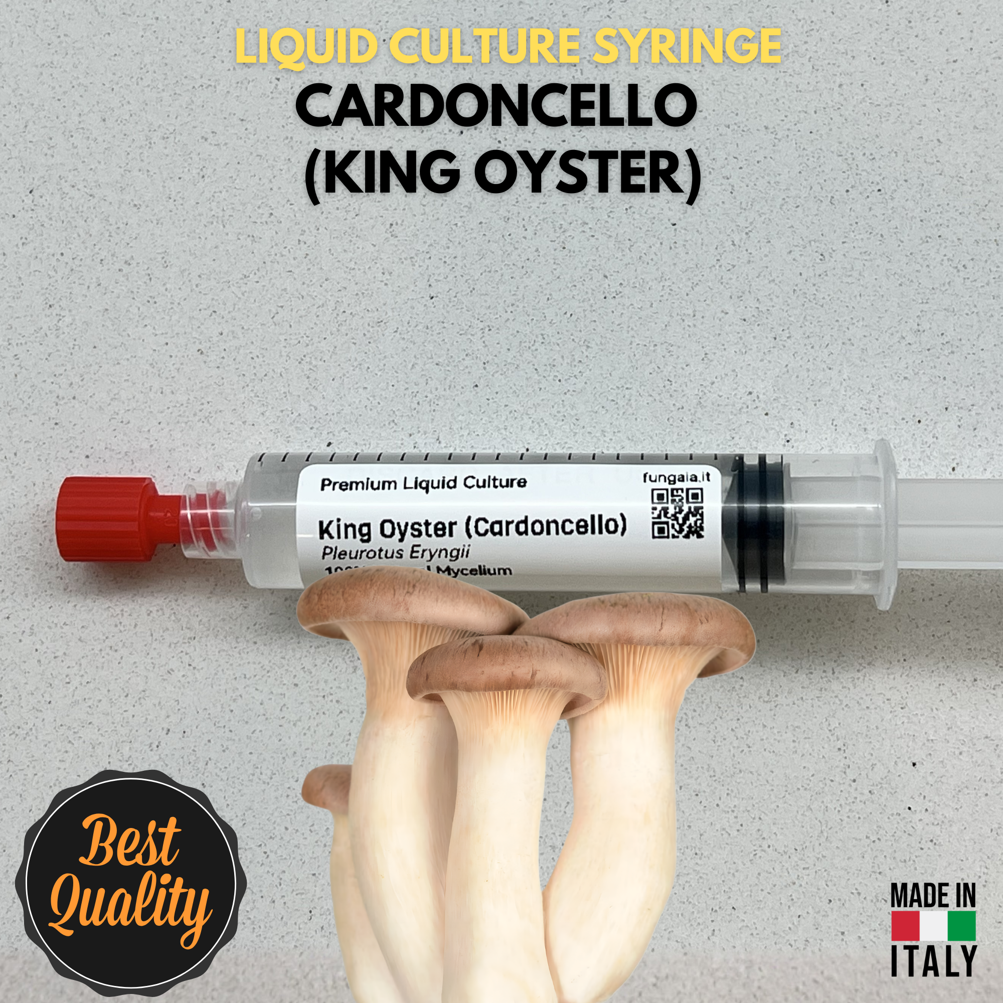 Coltura Liquida King Trumpet Cardoncello 10ml Micelio Vivo Funghi Gourmet Materiale Micologia