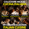 Italian Cuisine Collection – 3 Colture Liquide | Champignon Pioppino Cardoncello | Bundle Funghi Tradizione Italiana