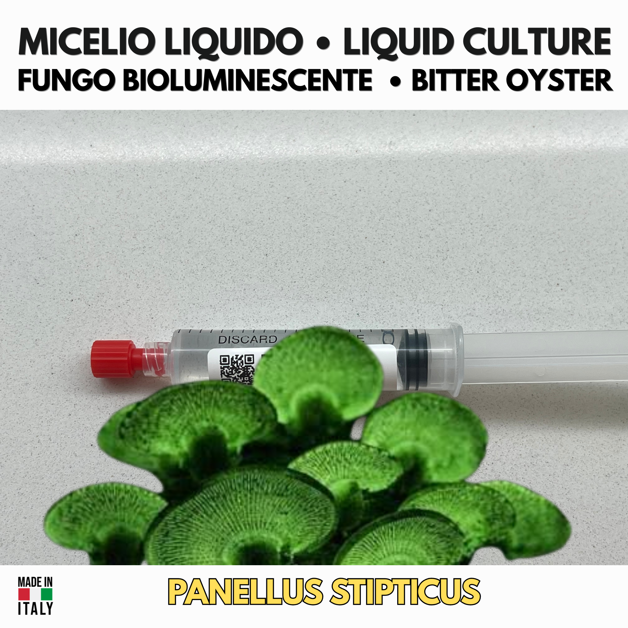 Panellus stipticus Liquid Culture 10ml | Bioluminescent Bitter Oyster