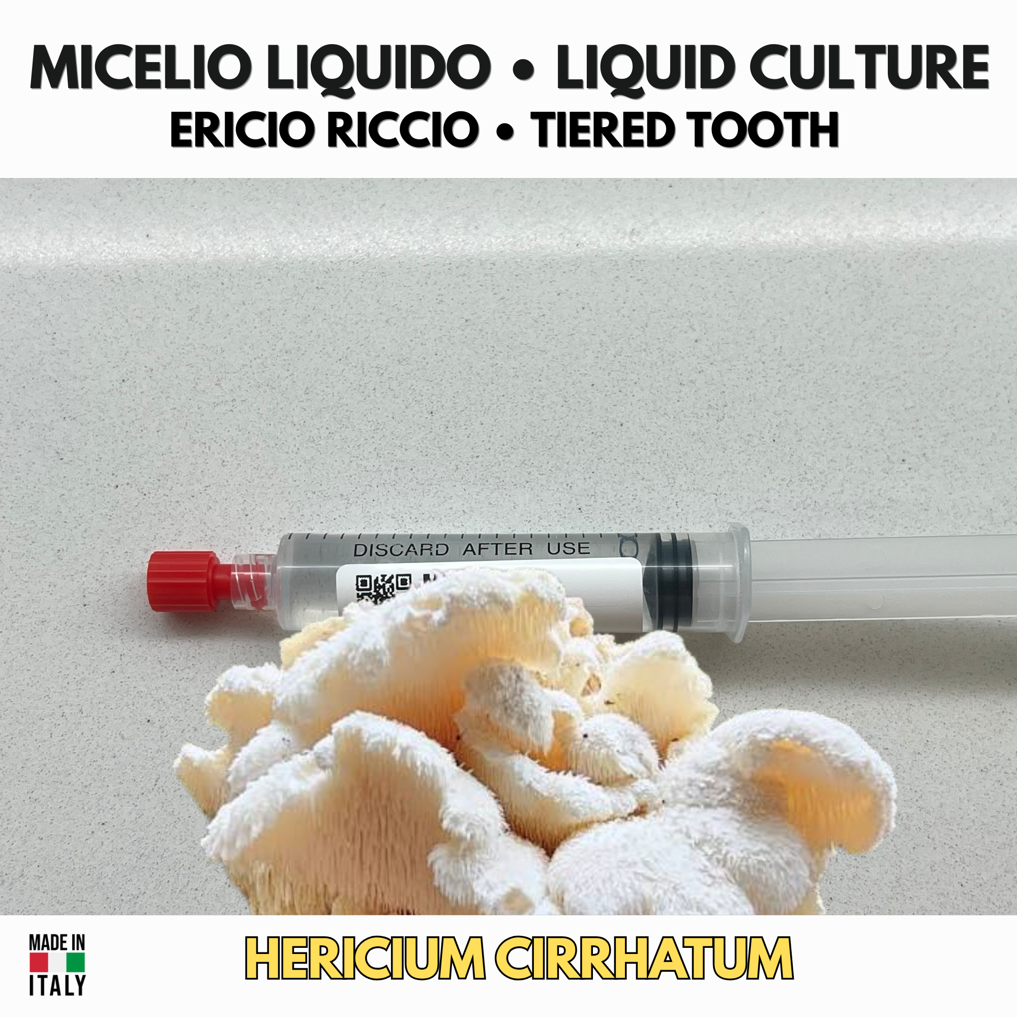 Hericium cirrhatum (Bear's Head) – Premium Liquid Culture