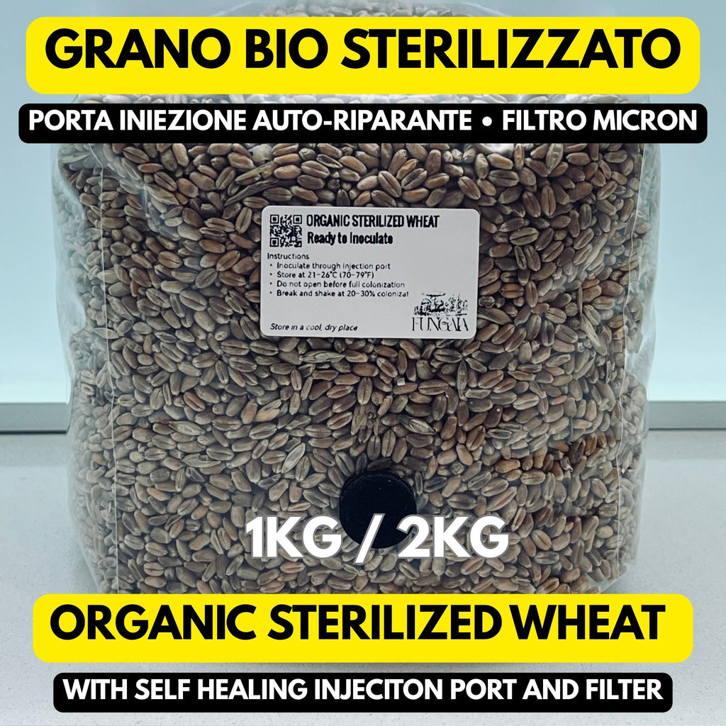 Biologic Grain Spawn Organic Sterilized — 1 kg / 2 kg