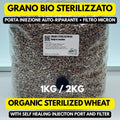 Biologic Grain Spawn Organic Sterilized — 1 kg / 2 kg