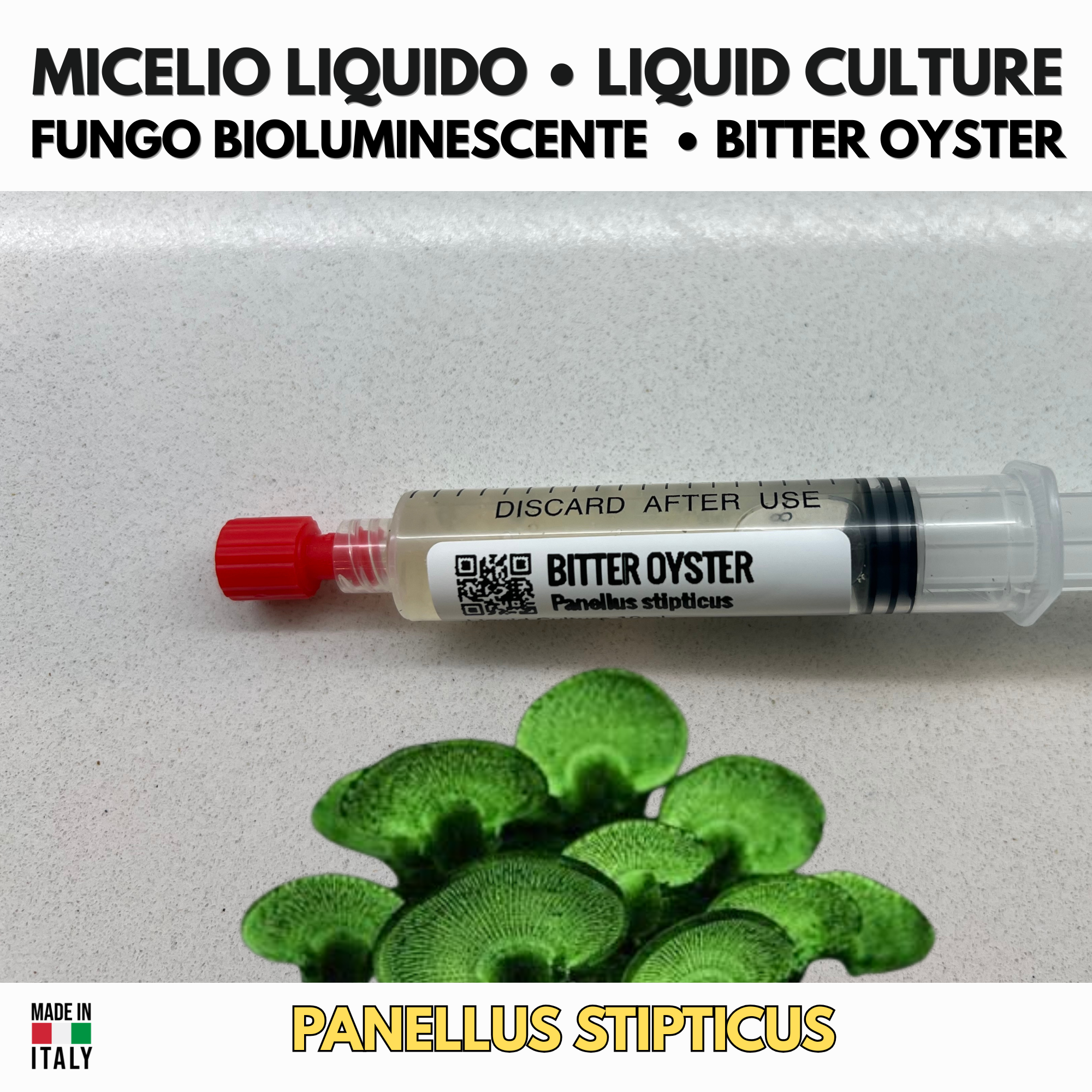 Fungo Bioluminescente per Micologia |  Panellus stipticus Coltura Liquida 10ml