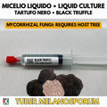 Périgord Black Truffle Mycelium • Tuber melanosporum Liquid Culture •  Mycorrhizal Host Tree Inoculation