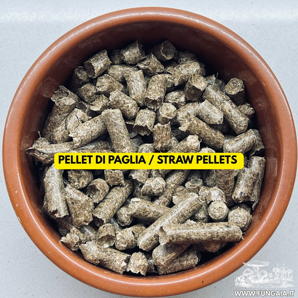 Master Mix Master's Mix Substrate Sterilized — 1 kg / 2 kg