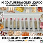 Bundle 10 Colture Liquide | Oltre 50 Varietà Funghi Gourmet
