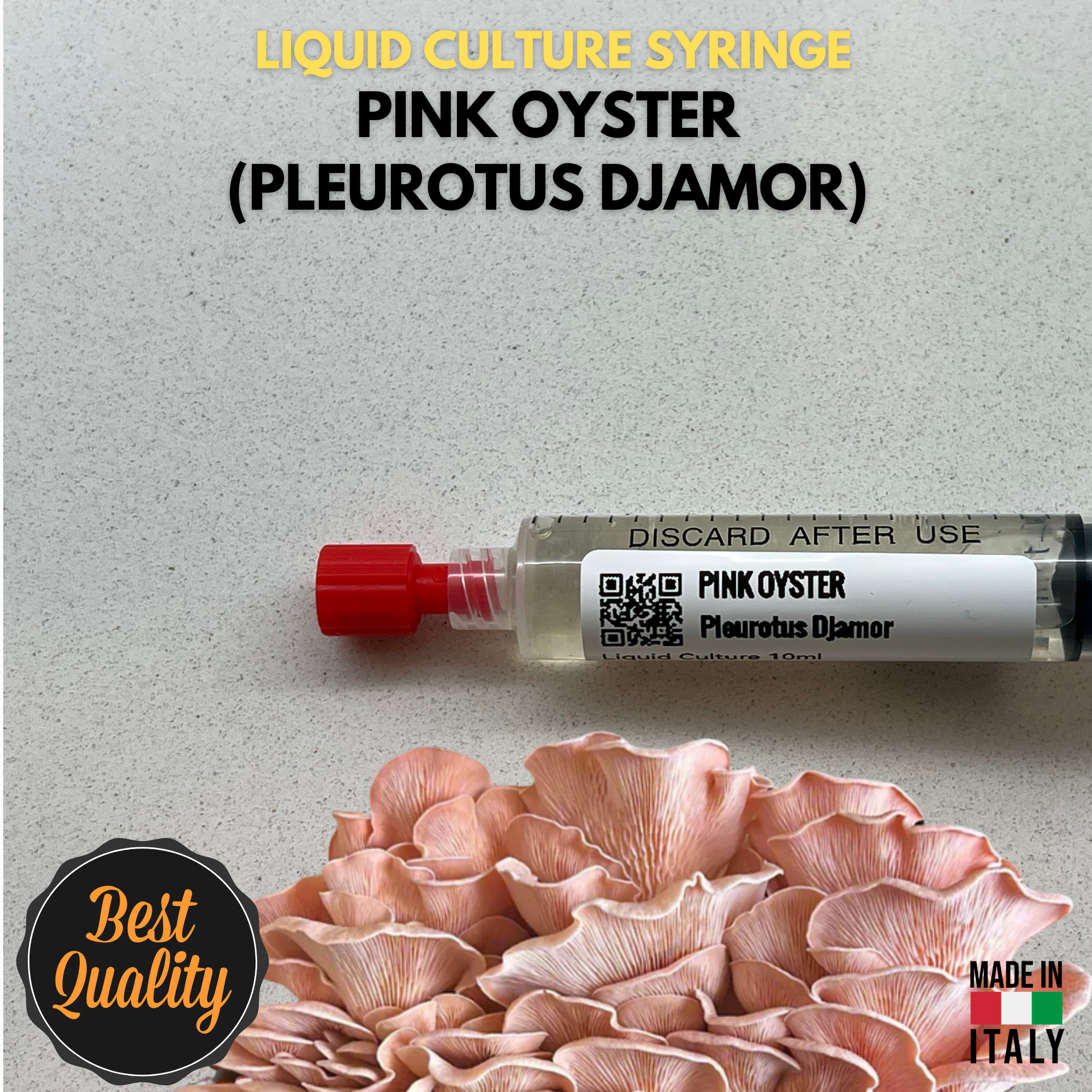 Cultura Liquida Fungo Ostrica Rosa 10ml  - Pleurotus djamor - Micelio Professionale Gourmet - Made in Italy