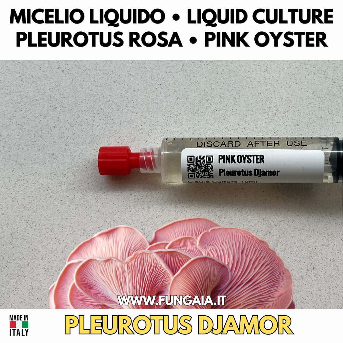 Coltura Liquida Funghi Estivi – Summer Pack 5 LC | Pink Oyster Golden Oyster Wine Cap Enoki | Kit Coltivazione Funghi Stagionali