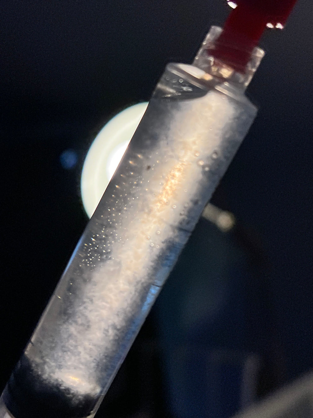 Black Poplar Liquid Culture 10ml Pioppino Gourmet Mushroom Mycelium Cyclocybe Aegerita