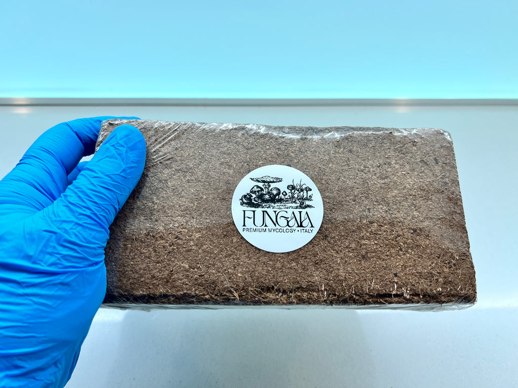 Mushroom Substrate Mix: Coco Coir, Vermiculite, Gypsum - 7L Yield