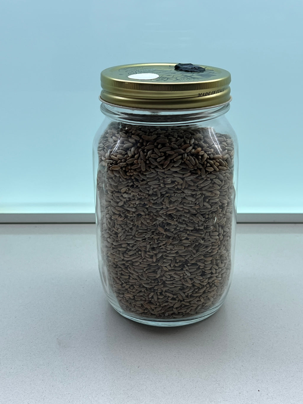 Rye Spawn Jar 1L Sterilized Organic Grain Mushroom Mycology Supplies Injection Port Filter Lid