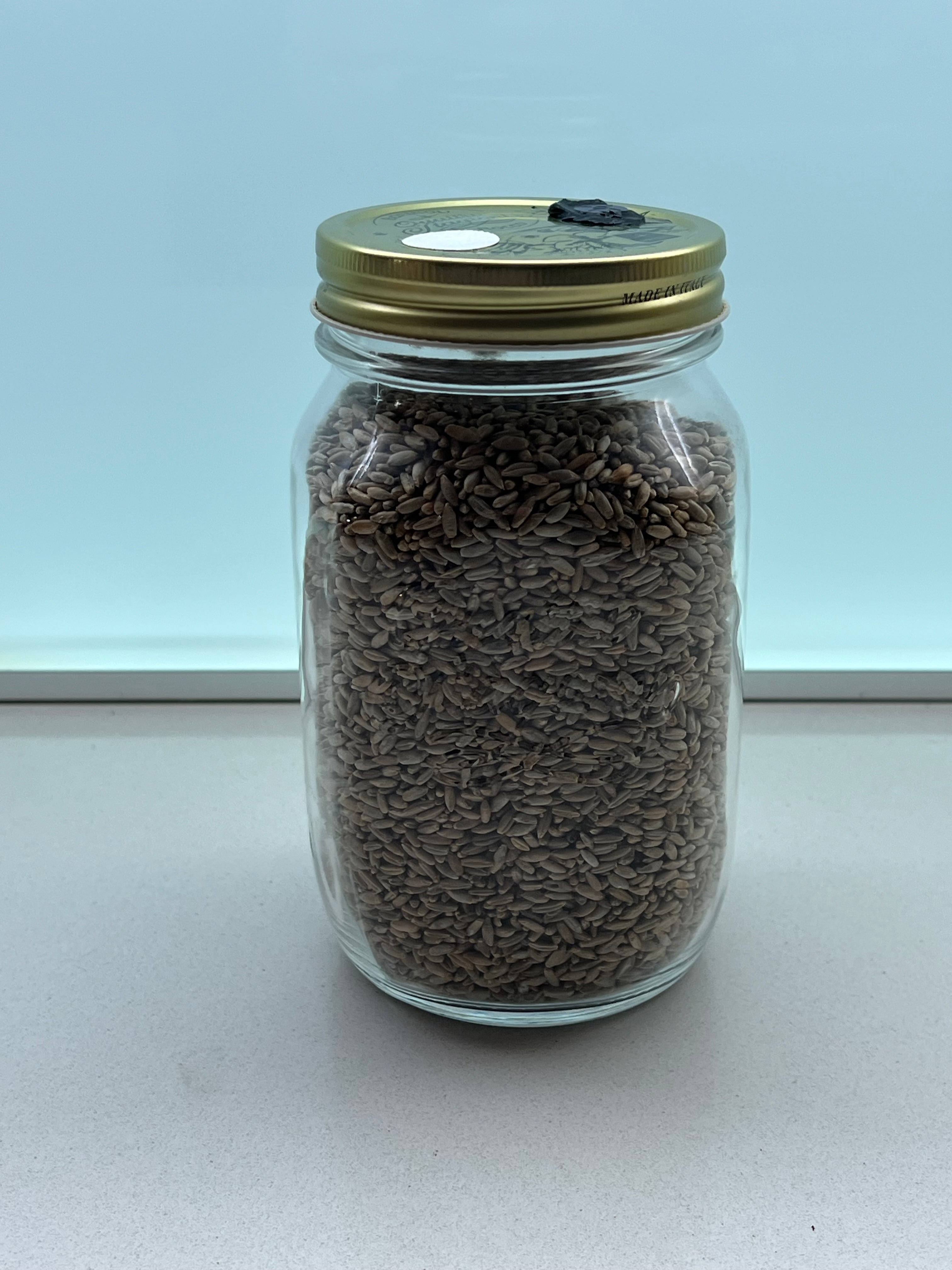 Rye Spawn Jar 1L Sterilized Organic Grain Mushroom Mycology Supplies Injection Port Filter Lid