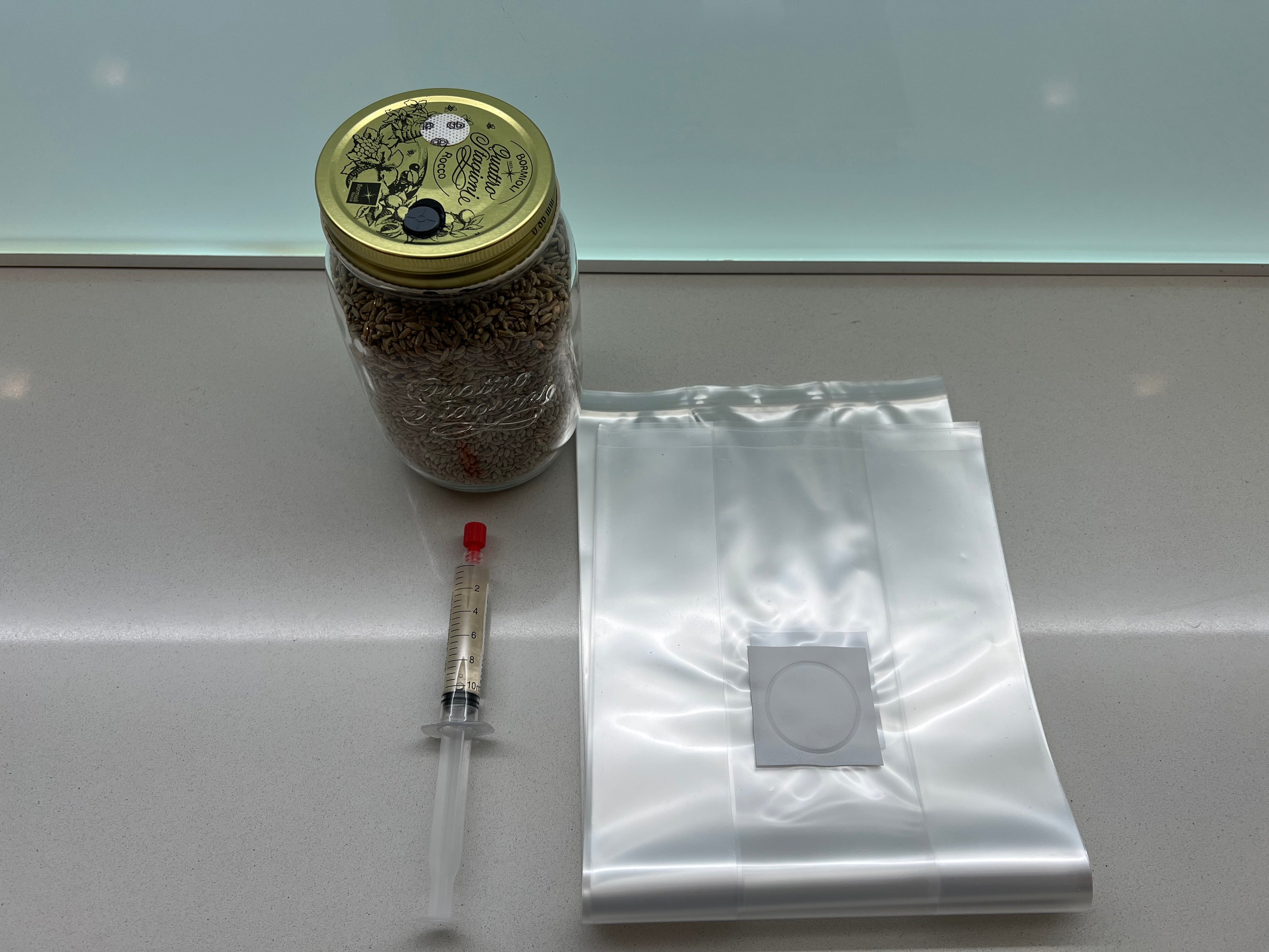 Starter Kit Micologia | LC + Vaso Spawn 750g + Grow Bag XL | Funghi Fai Da Te